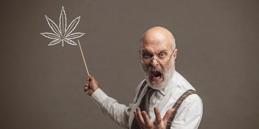Weeding Out Misconceptions: The Challenge of Cannabis Education
